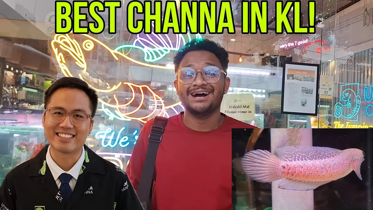 KEDAI IKAN 