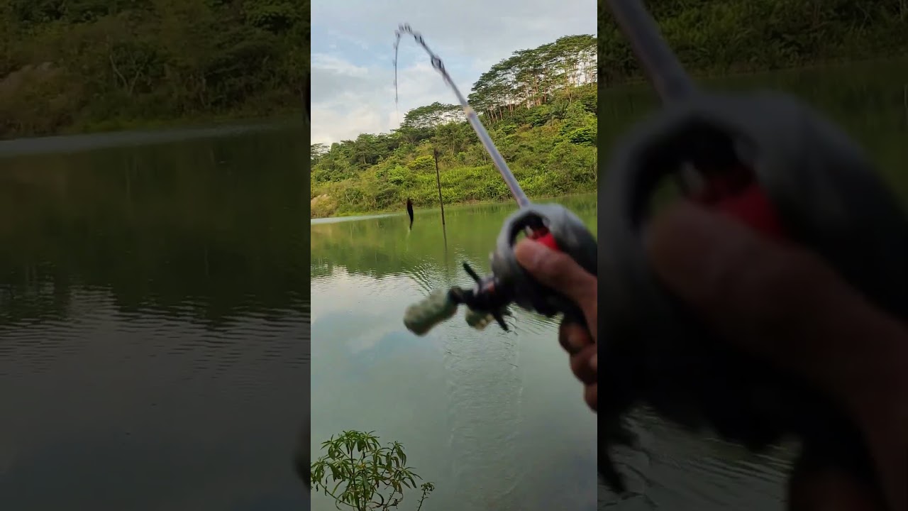 misi penyelamatan mama toman 🎣😁       #ParadiseFishing #LebihDariSekedarMancing #ParadiseMinion