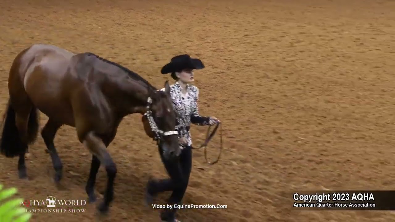 2023 Showmanship 14-18 -- AQHYA World Championship Show