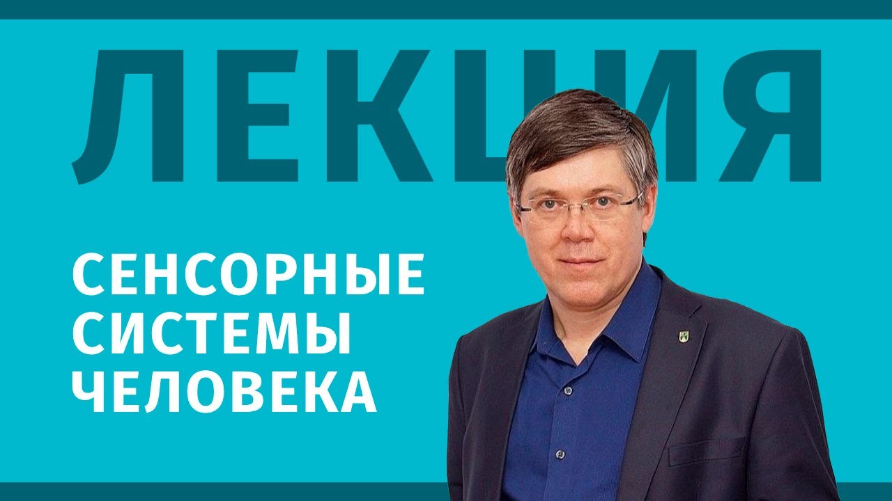 Лекция: Сенсорные системы человека