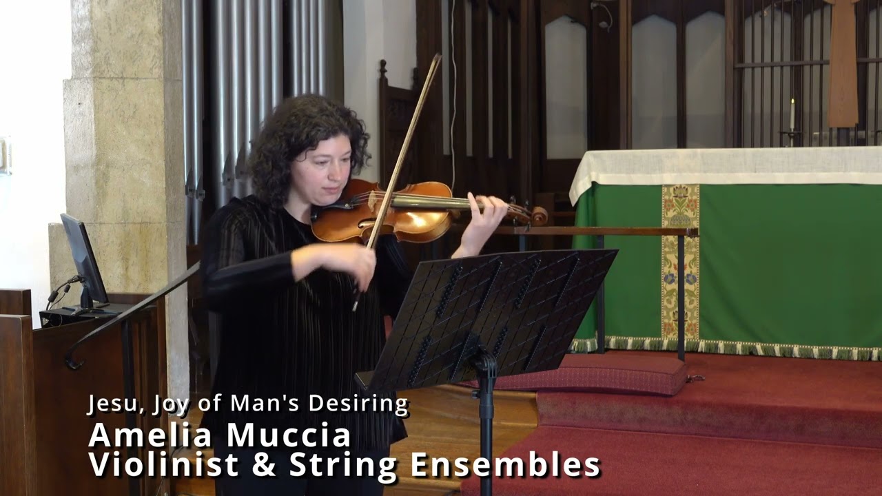 Bach- Jesu, joy of man's desiring- solo violin