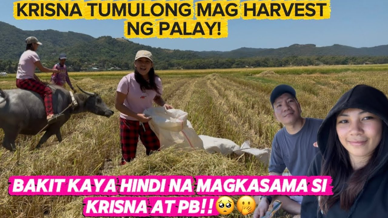 BAKIT KAYA HINDI NA MAGKASAMA SI KRISNA AT PB#pekengkoreana #vlog #pugongbyahero #ofw 