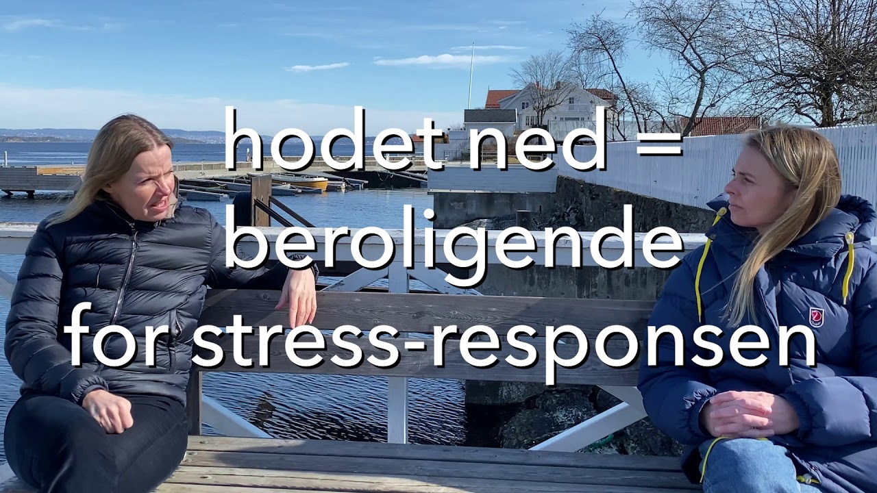folkOm å roe alarmen via kropp og sanser, episode 3
