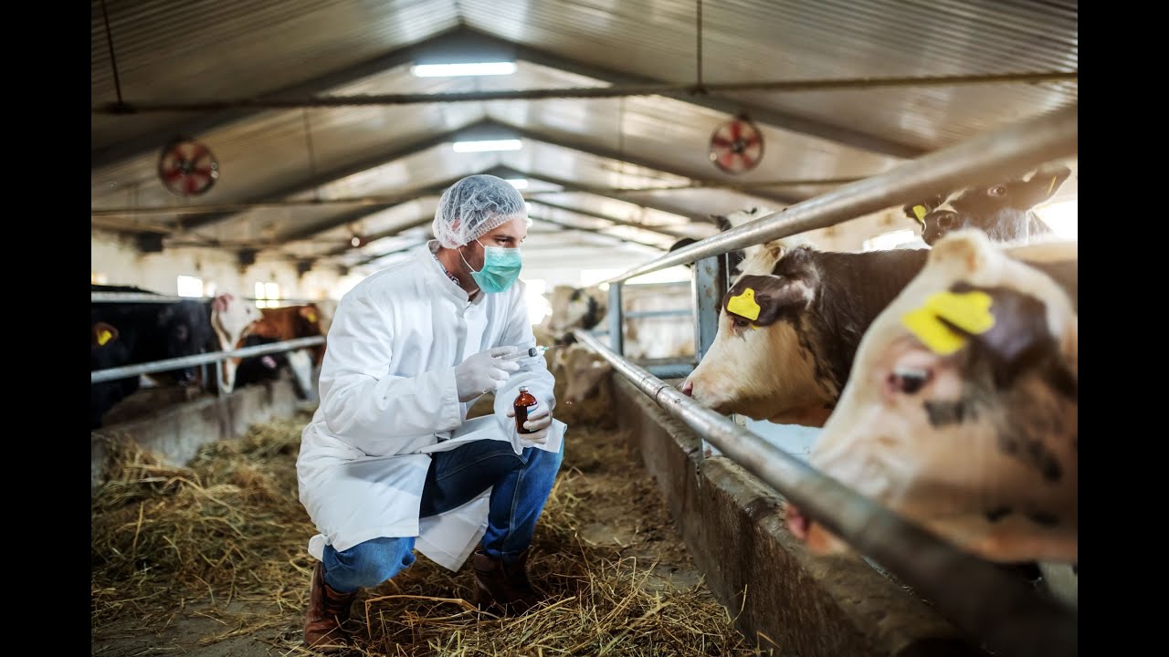 Understanding Food System Vulnerabilities
