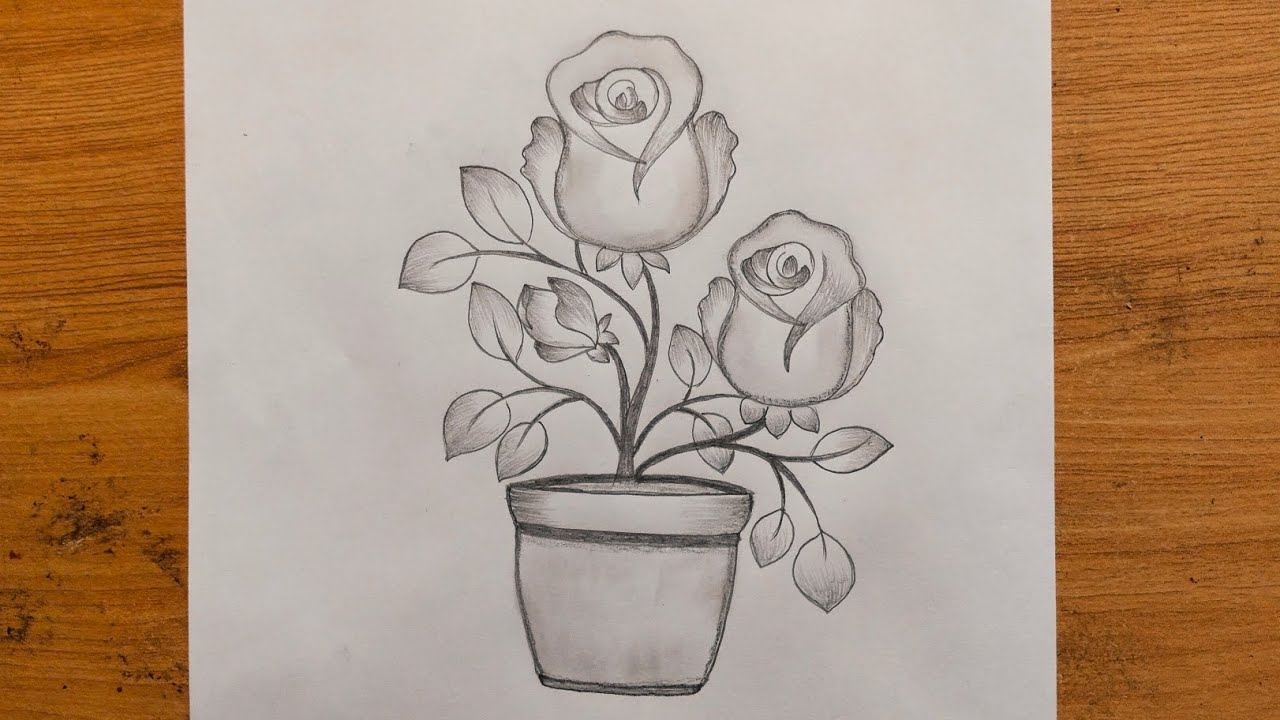 Beautiful rose and pot drawing step by step drawing tutorial 
