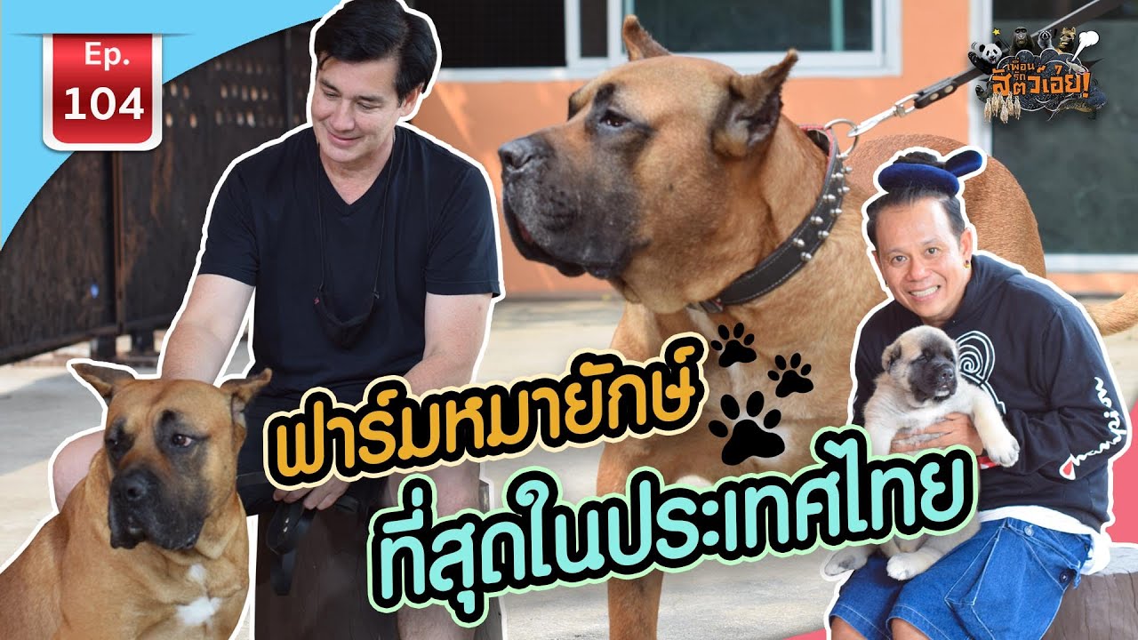 Big Dog Farm ฟาร์มหมายักษ์ที่สุดในประเทศไทย - เพื่อนรักสัตว์เอ๊ย EP.104