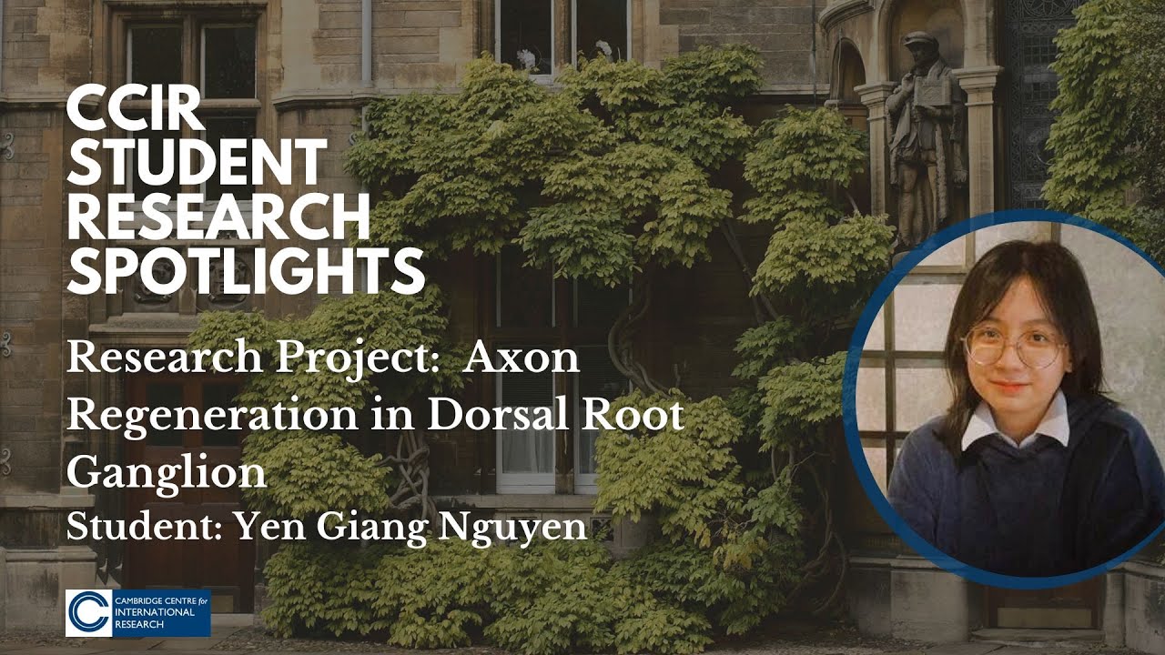 CCIR Student Spotlights: Exploring the Cutting-edge of Regenerative Neurobiology with Yen Nguyen