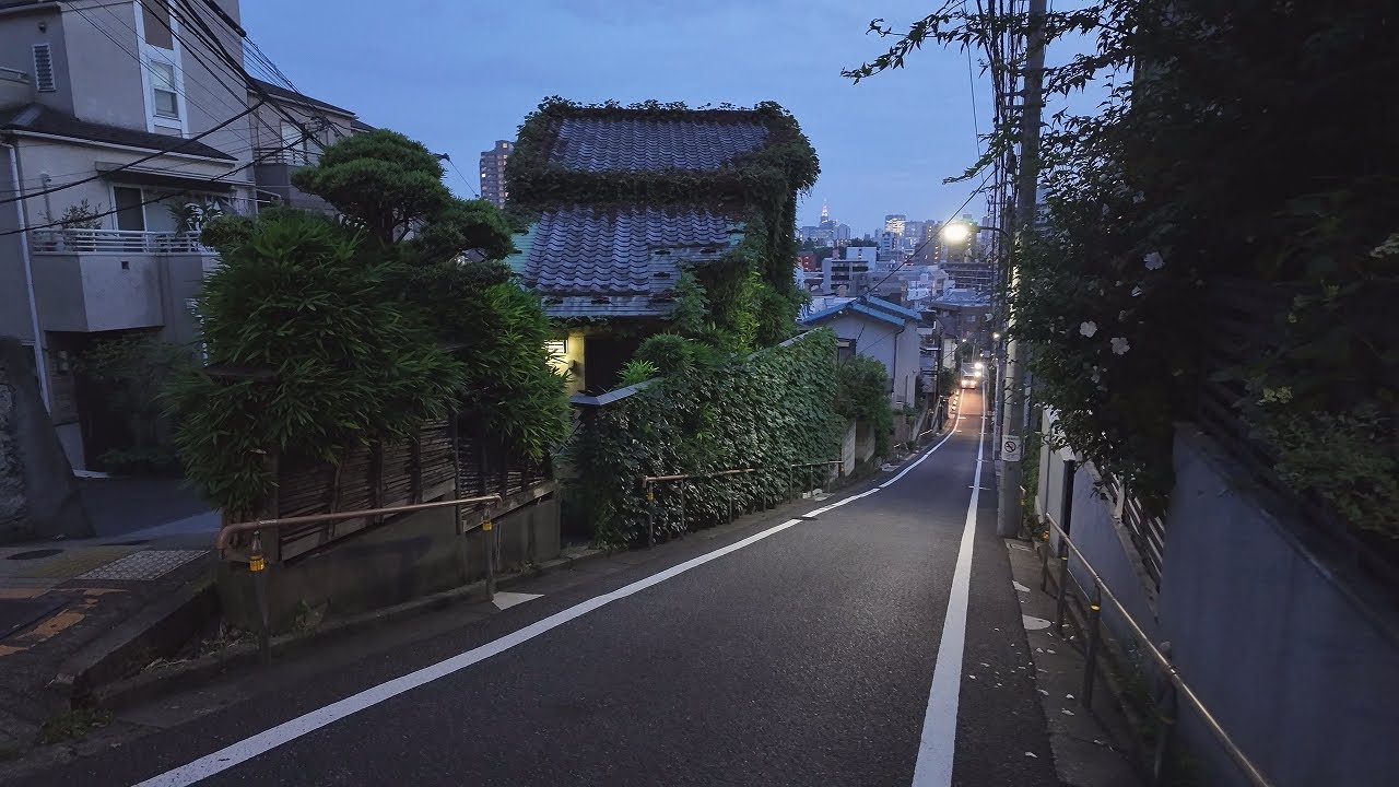 豊島区高田(雑司ヶ谷駅近く)の坂道を巡る夜の散歩【4K東京街歩き】Japan Tokyo 4K night walking tour/Takada,Toshima-ku