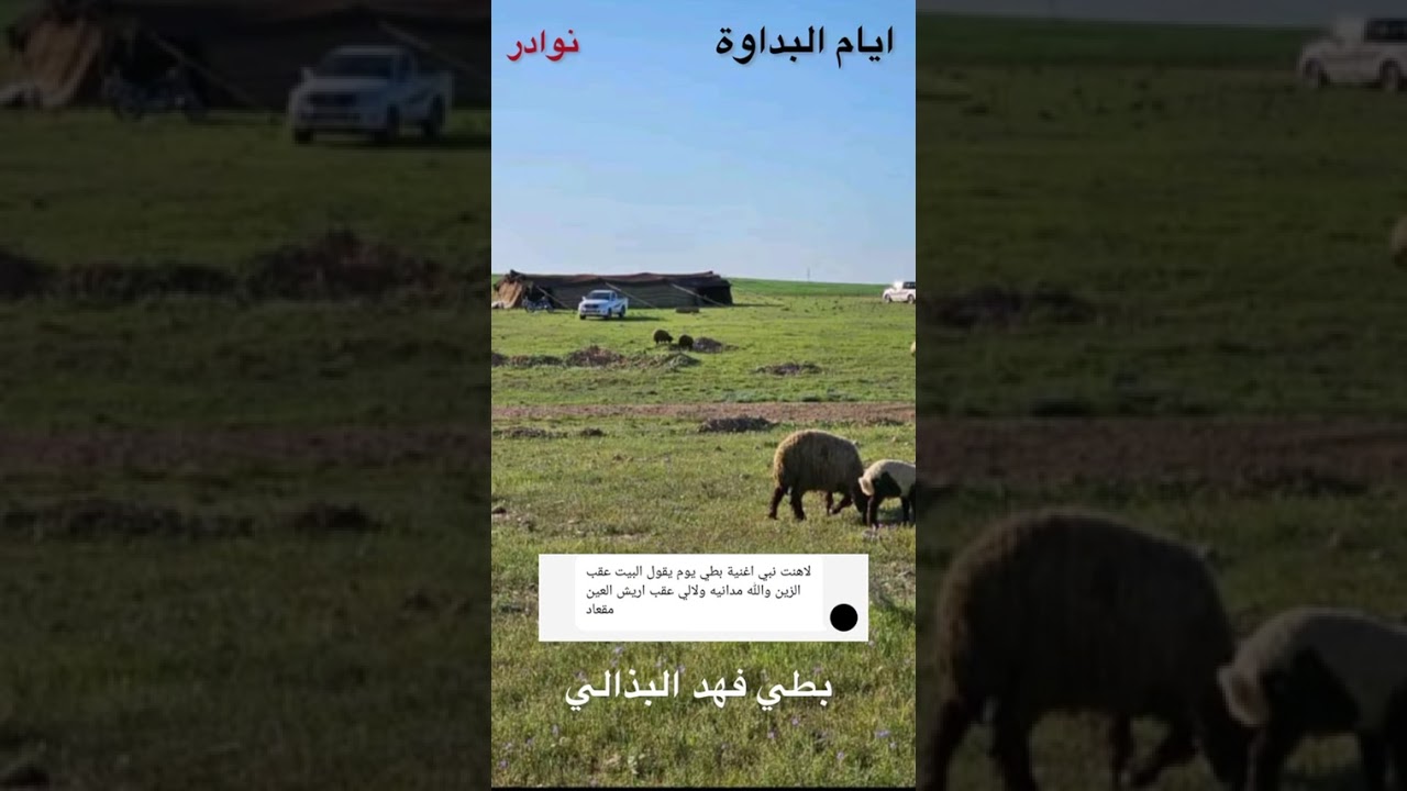 بطي فهد البذالي// البيت عقب الزين والله مادانيه ولالي عقب اريش العين مقعاد