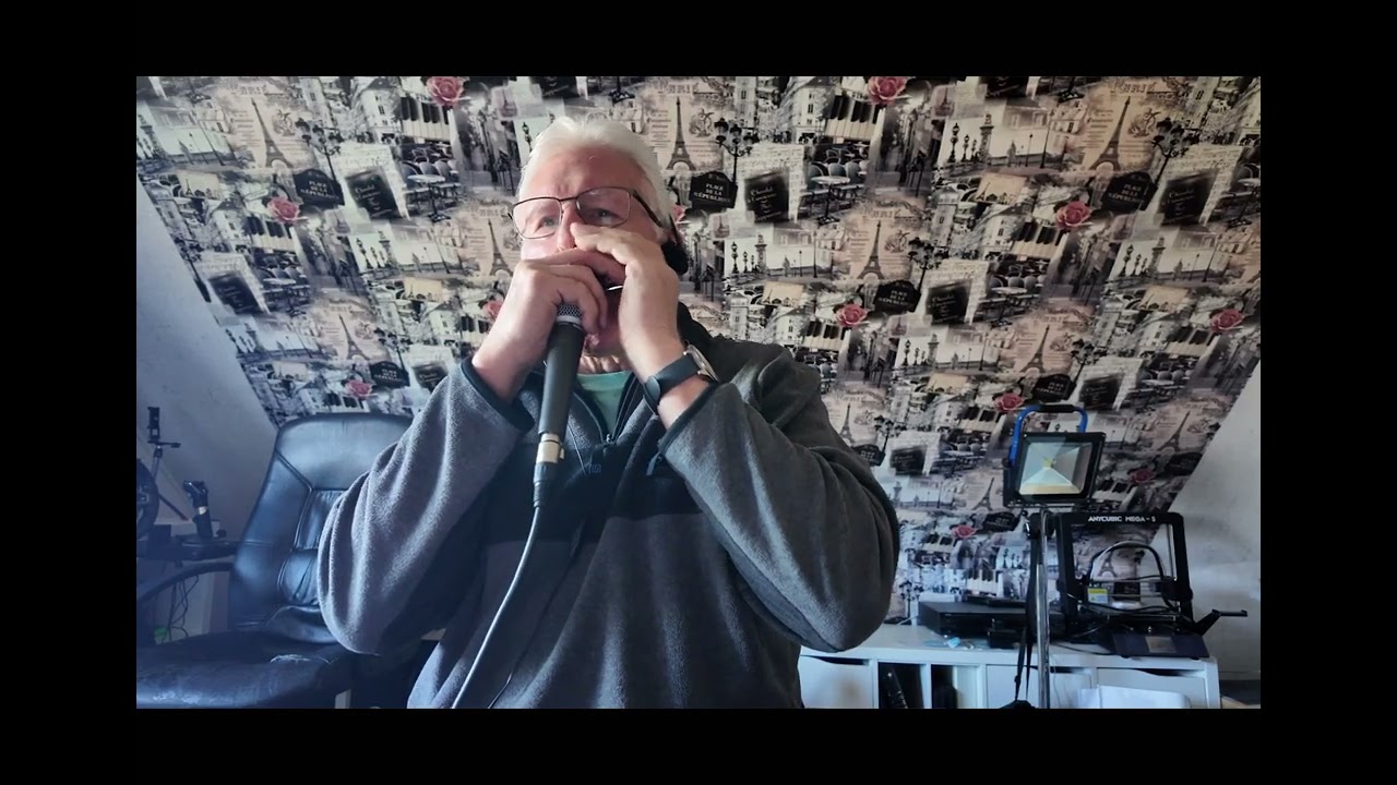 Es hängt ein Pferdehalfter an der Wand ( Cover )