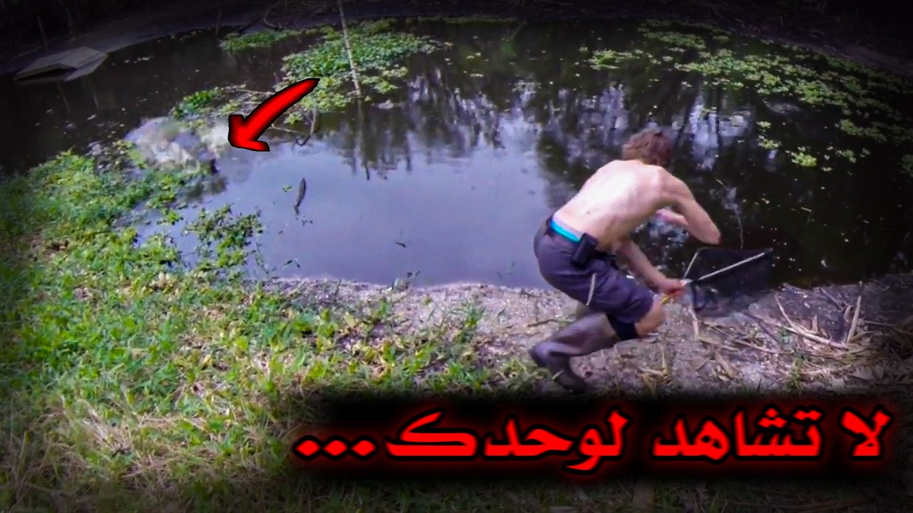 6 من أخطر المواقف التي تم تصويرها للتماسيح ضد البشر !! لن تصدق أنها حقيقية...