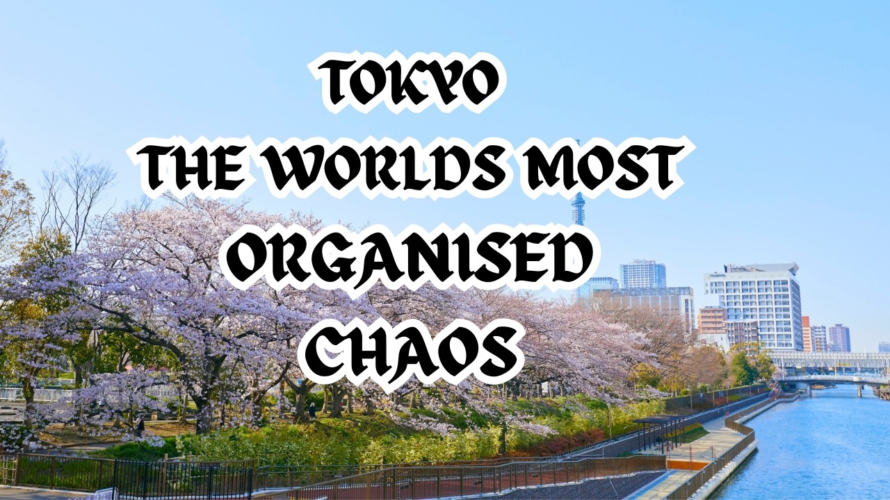 Tokyo: The World’s Most Organized Chaos