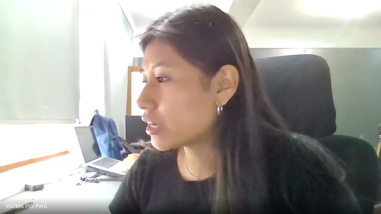 11 de Marzo- REPORTABILIDAD DE ROP   2026 03 11