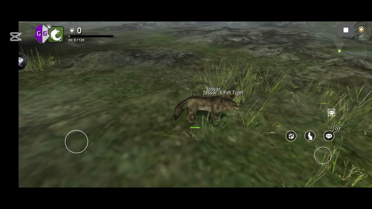 Wolf online 9.0.4 Infinity pet  Script [Xx-Feild-[Name]-Finder-Xx V2]