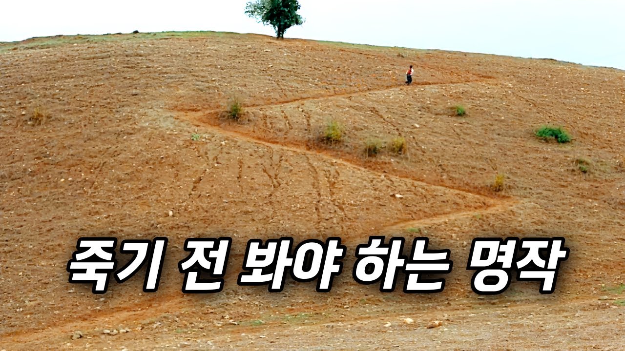 살아있음을 감사하게 만드는.. 따뜻하고 아름다운 명작 (결말포함)