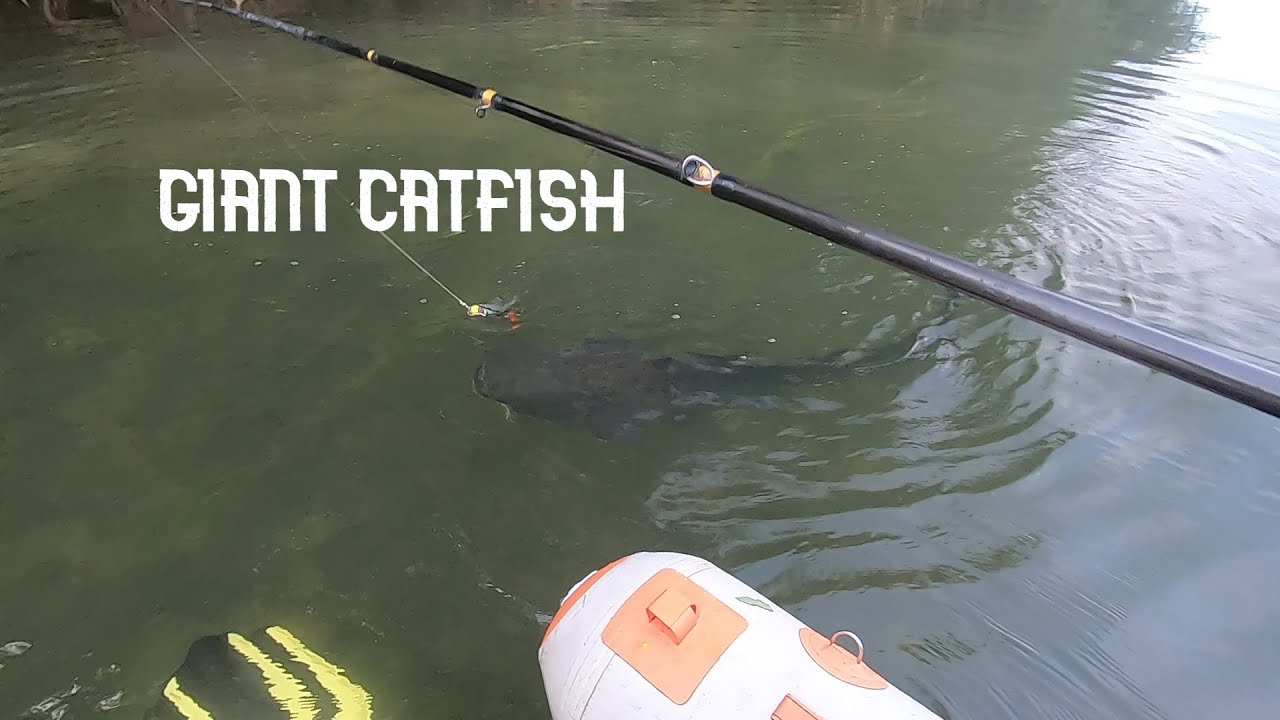 DES TAKE ABERRANTS au WHOPPER PLOPPER RIVER2SEA , je prend mon plus GROS SILURE de la SAISON