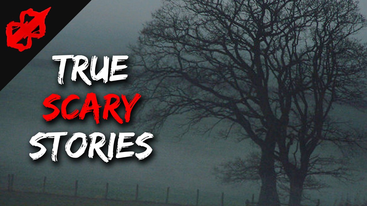 Scary Stories For A Cold, Unsettling, And Chilling Night