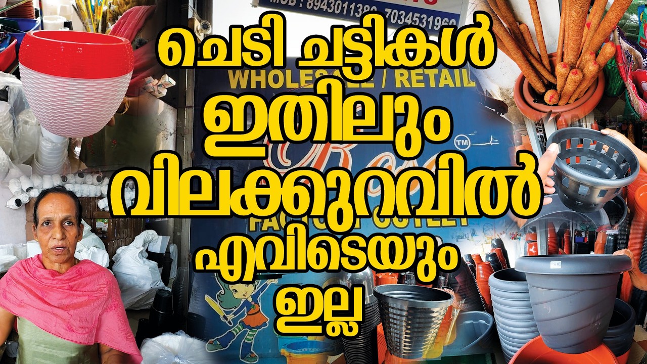 ചെടി ചട്ടികൾ ഇതിലും വിലക്കുറവിൽ ഇത്രെയും കളക്ഷൻസ് വേറെ എവിടെയും ഇല്ല #plantpots #pots #plasticpots