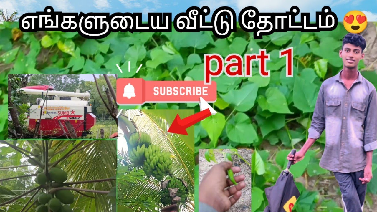  வாங்க வீட்டு தோட்டத்தை பார்க்கலாம் ♥️👍😍