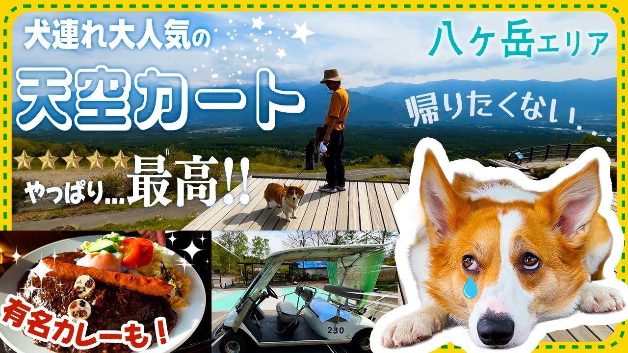 犬連れに大人気の八ヶ岳観光ならココ！【天空カート・萌木の村ROCKカレー】