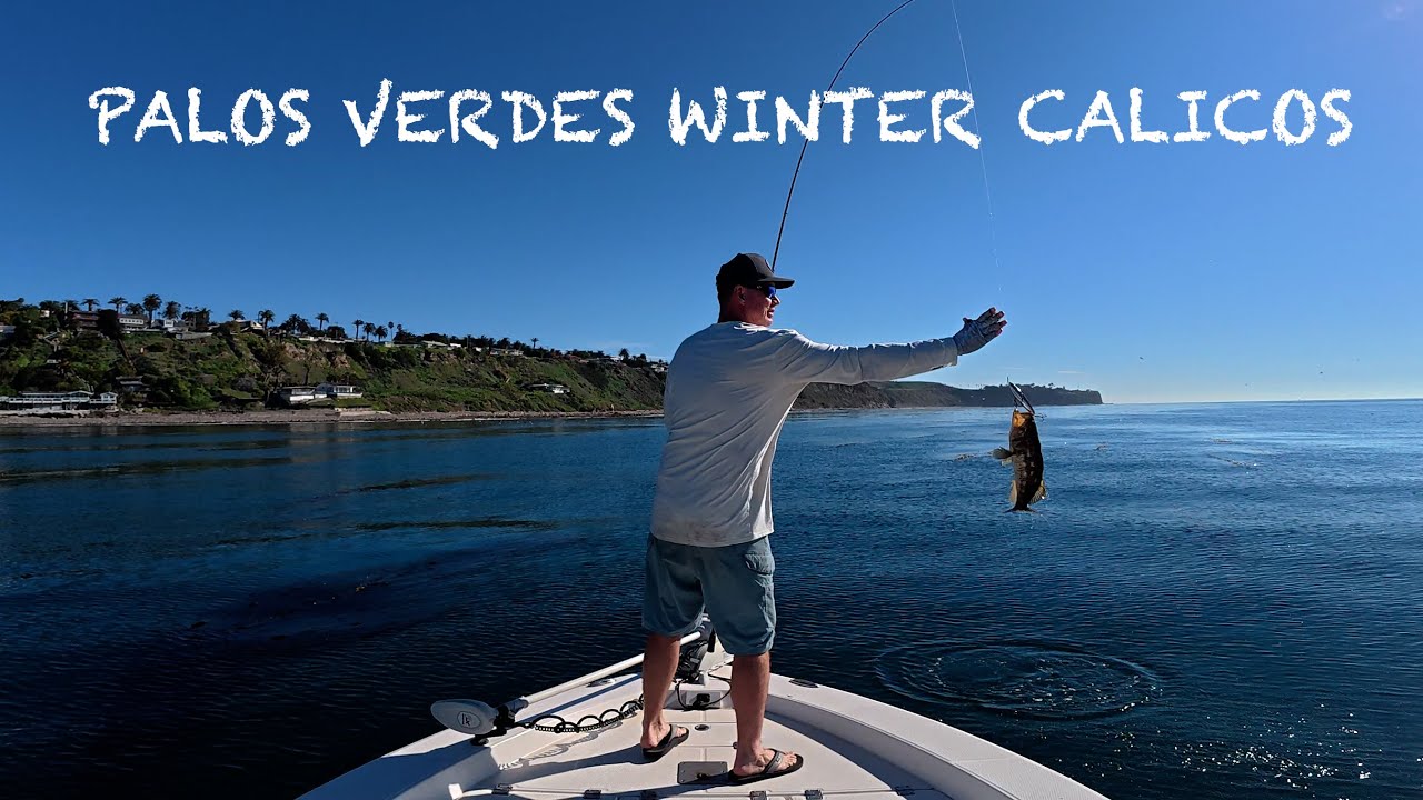 Wide open winter calico bass fishing