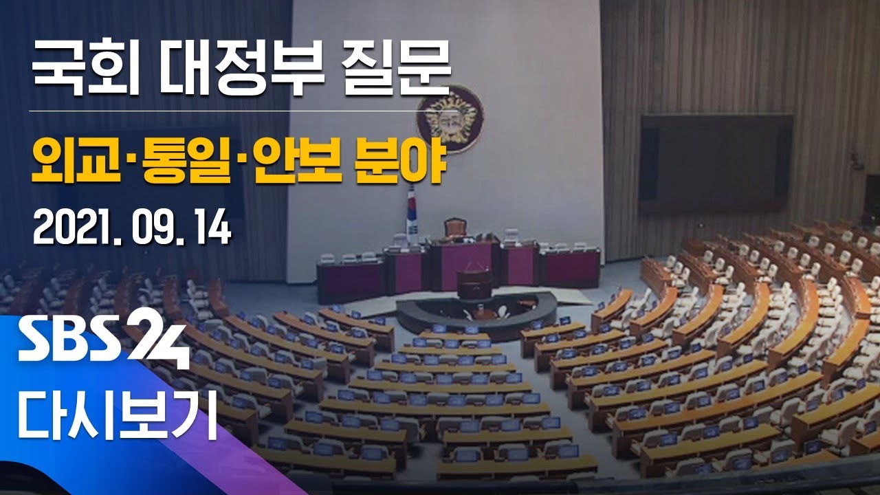 [다시보기] 국회 대정부 질문 - 외교&middot;통일&middot;안보 | SBS 모바일 24
