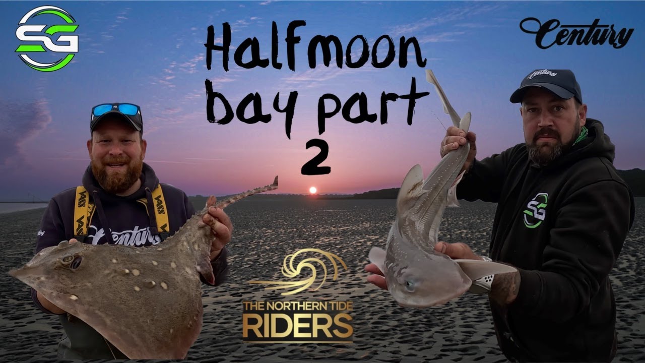 Halfmoon bay, часть 2, сессия Smoothound (май 2023 г.), катастрофа с Go Pro