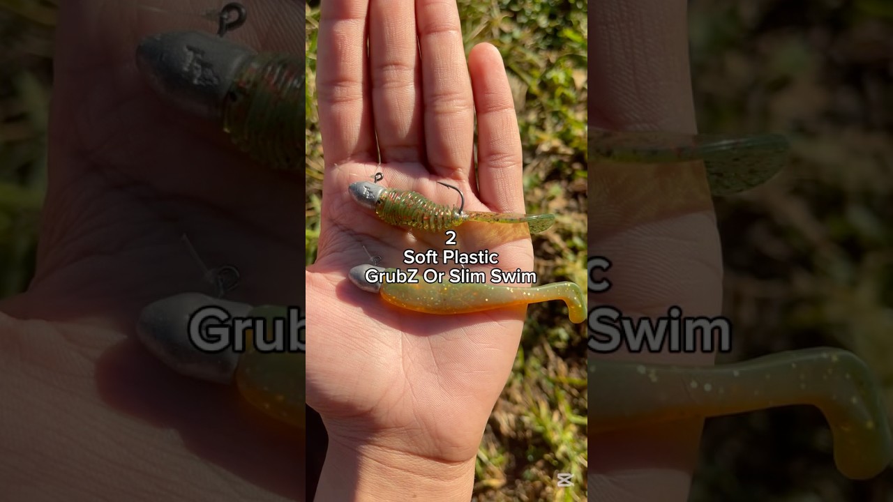 Top Five Lures For Australian Bass