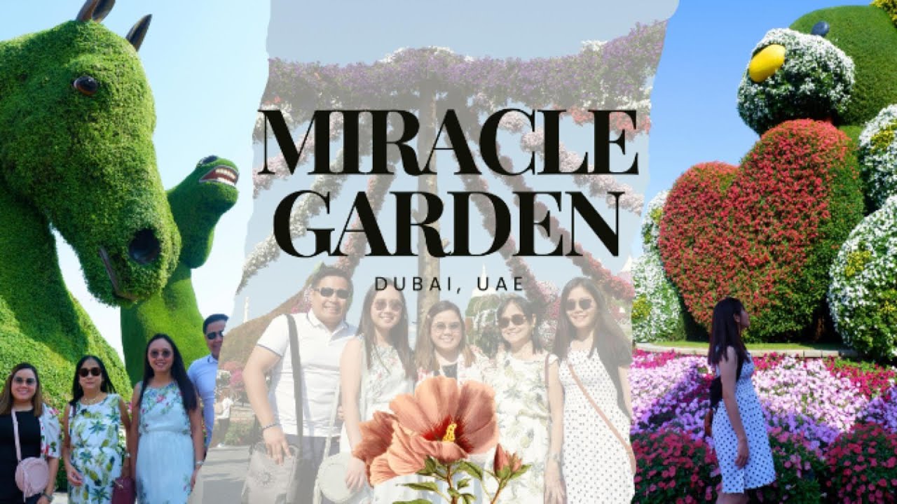 Dubai Miracle Garden | Emirates A380, Teddy Bear & Horses