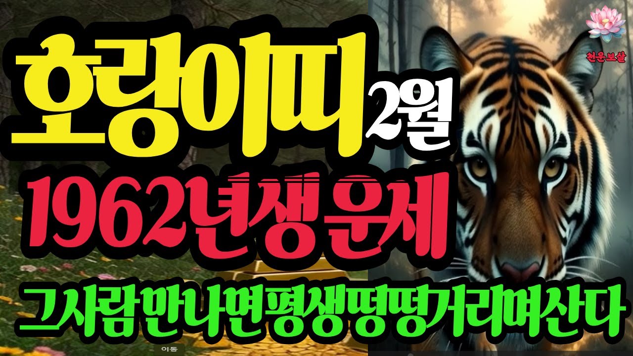 호랑이띠, 1962년생, 2026년2월운세, 60년만에 터지는 삼폭발 대운 #재물운 #사주명리학강의 #유튜브 #결혼운 #호랑이띠운세 #병오년 #천운보살