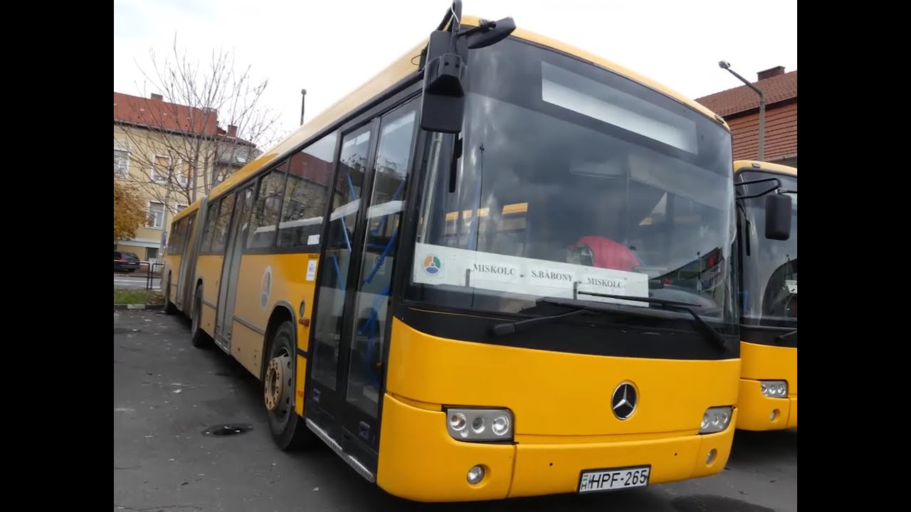 Buszok Novemberben, Miskolcon (2019)