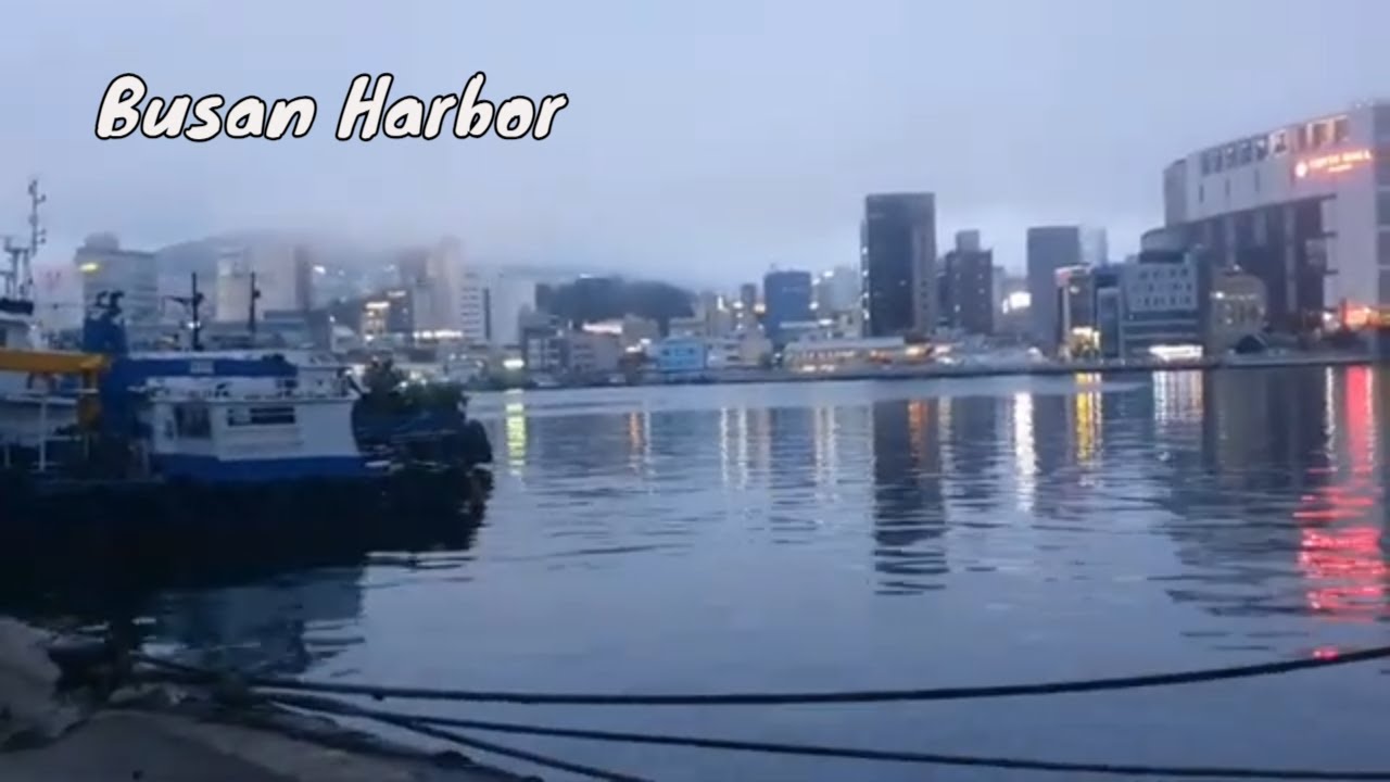 Gorgeous Evening Views At The Harbor