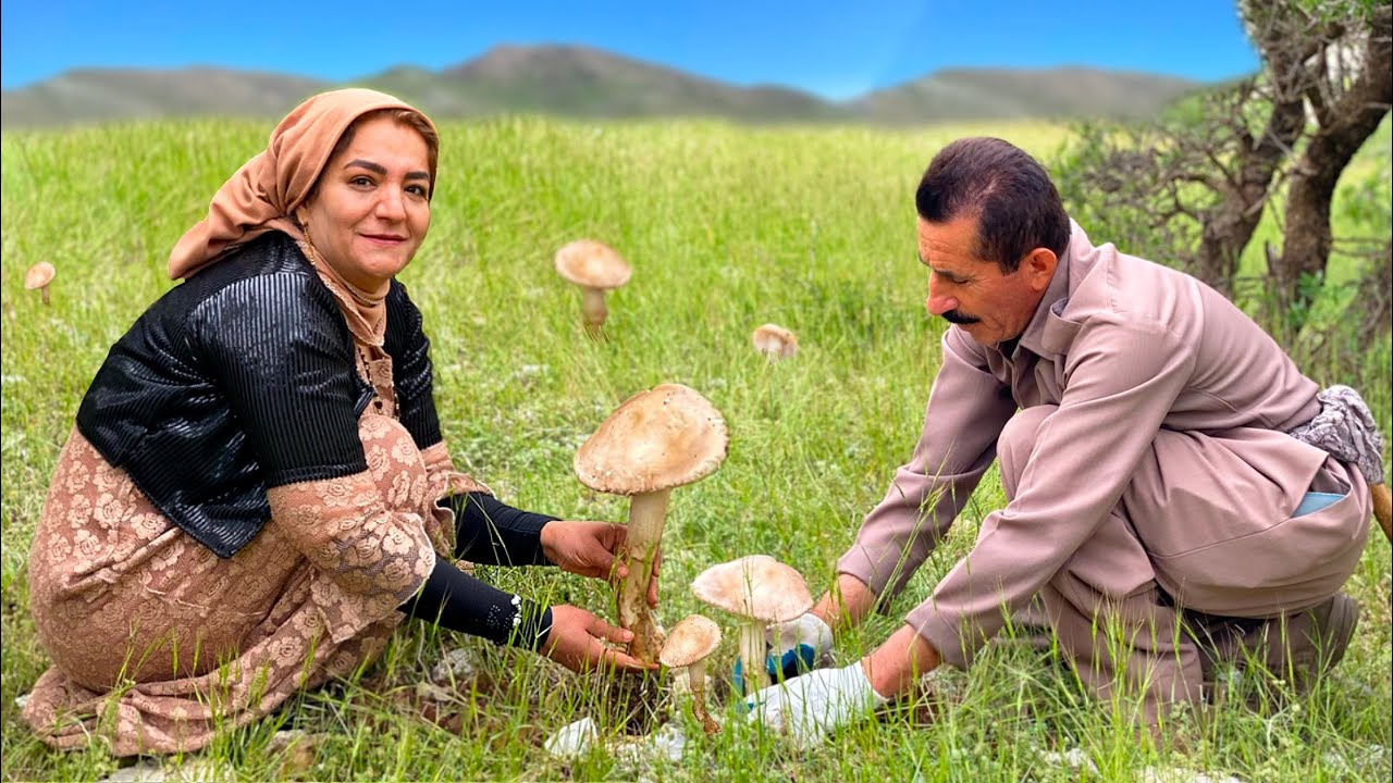 Kurdish village life: Climbing in the village to reach mountain MUSHROOMS and Cooking 🍄