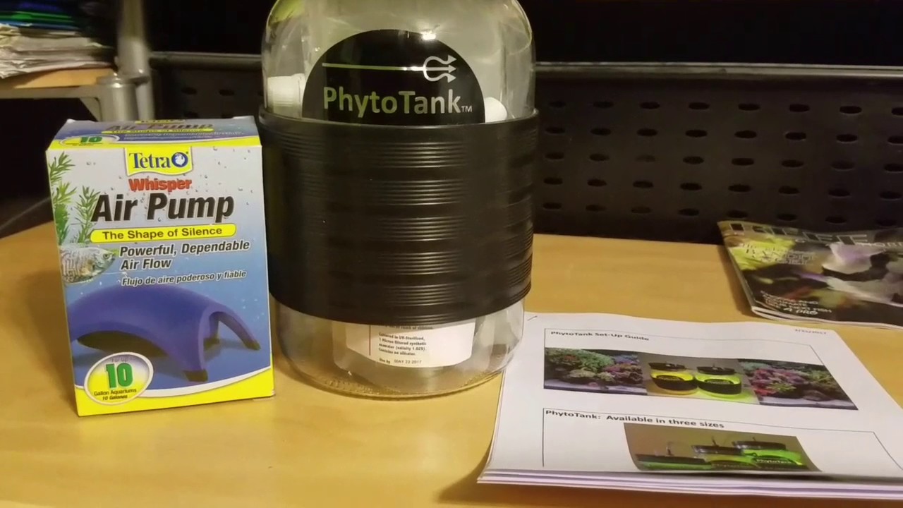 Phytotank review