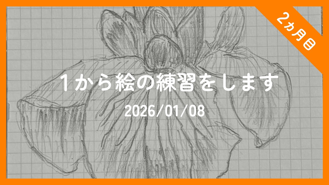 アイリスの絵を書きました【2026/01/08】