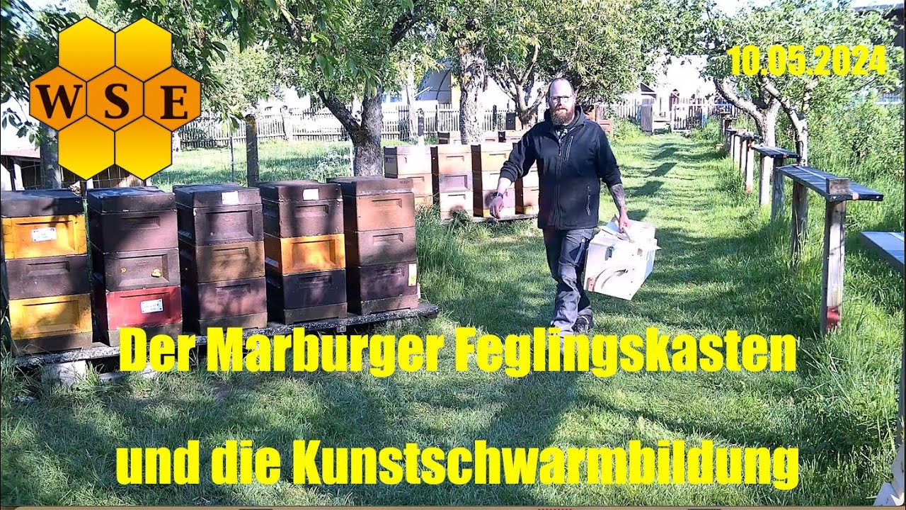 Der Marburger Feglingskasten und die Kunstschwarmbildung