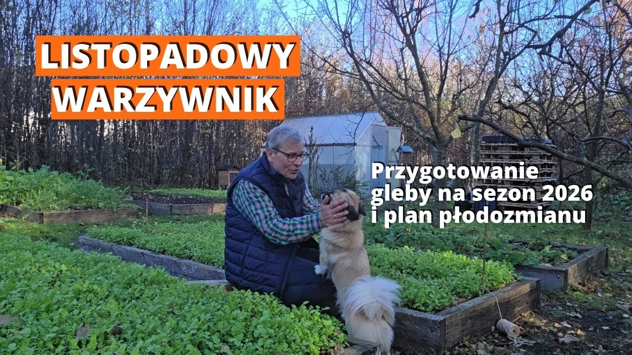 WARZYWNIK W LISTOPADZIE: Planuję cały rok 2026 i przygotowuję glebę na zimę!