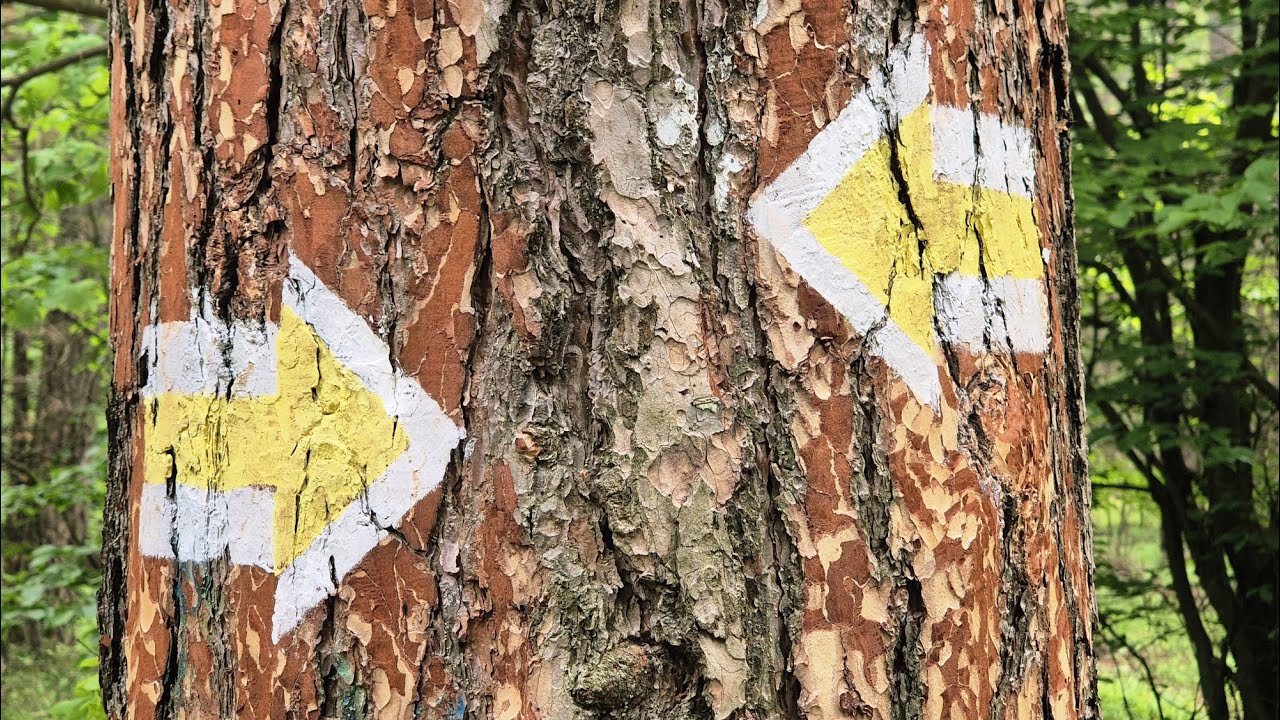 TAM I Z POWROTEM.. Olsztyn Sokole Góry - Biskupice - Olsztyn Rynek - Skrajnica - Olsztyn Sokole Góry