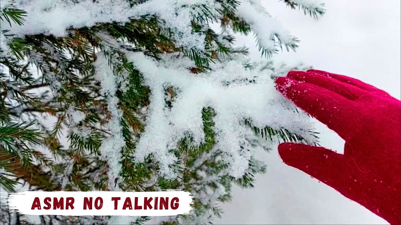 Crunchy snow sounds for sleeping | ASMR Winter Walking | 1 Hour by ASMR Garden