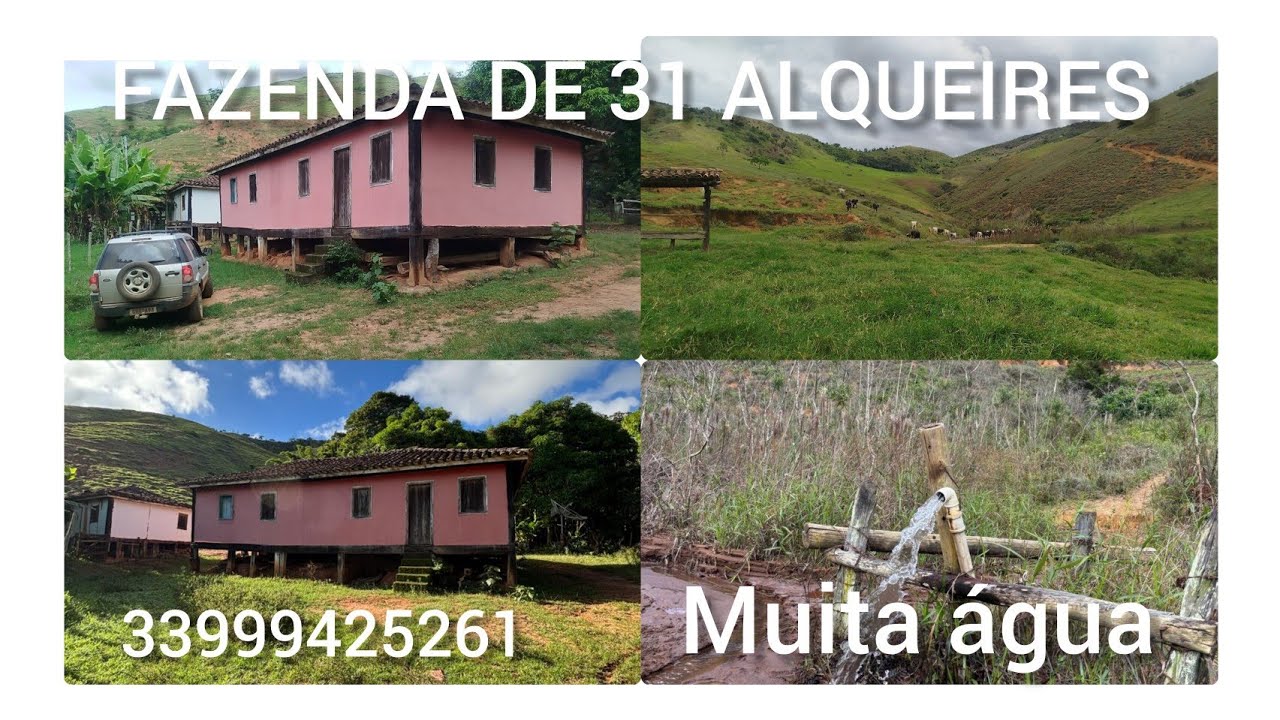 FAZENDA DE 31 ALQUEIRES DE TERRA, TODA FORMADA.