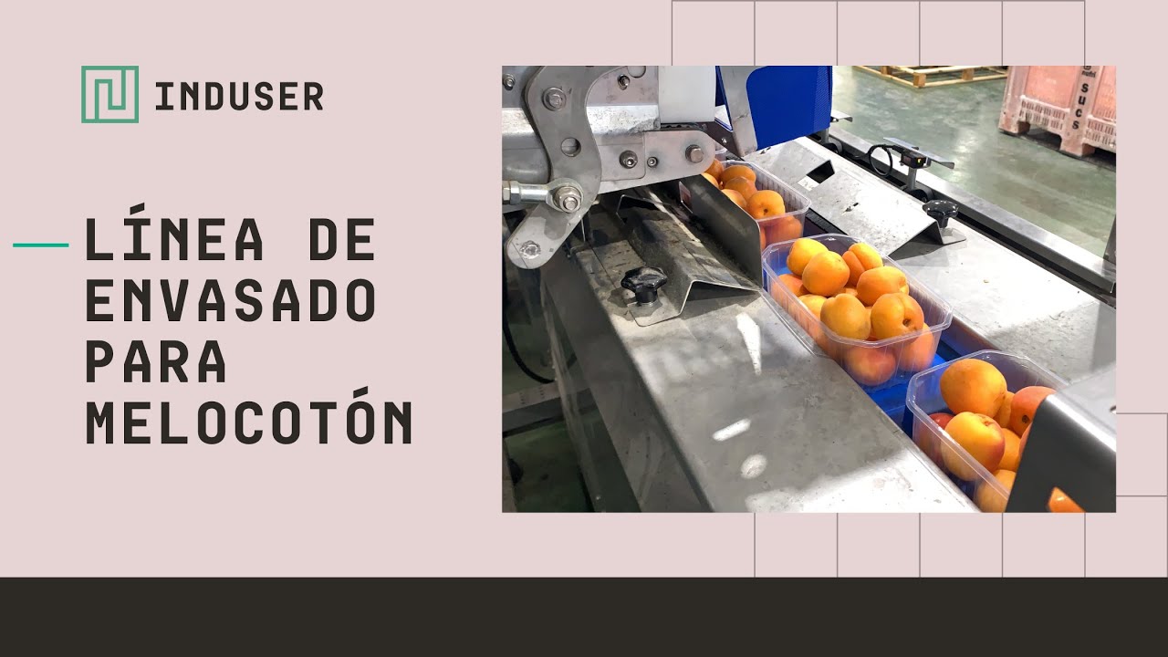 🍑Línea de envasado para melocotón #INDUSER