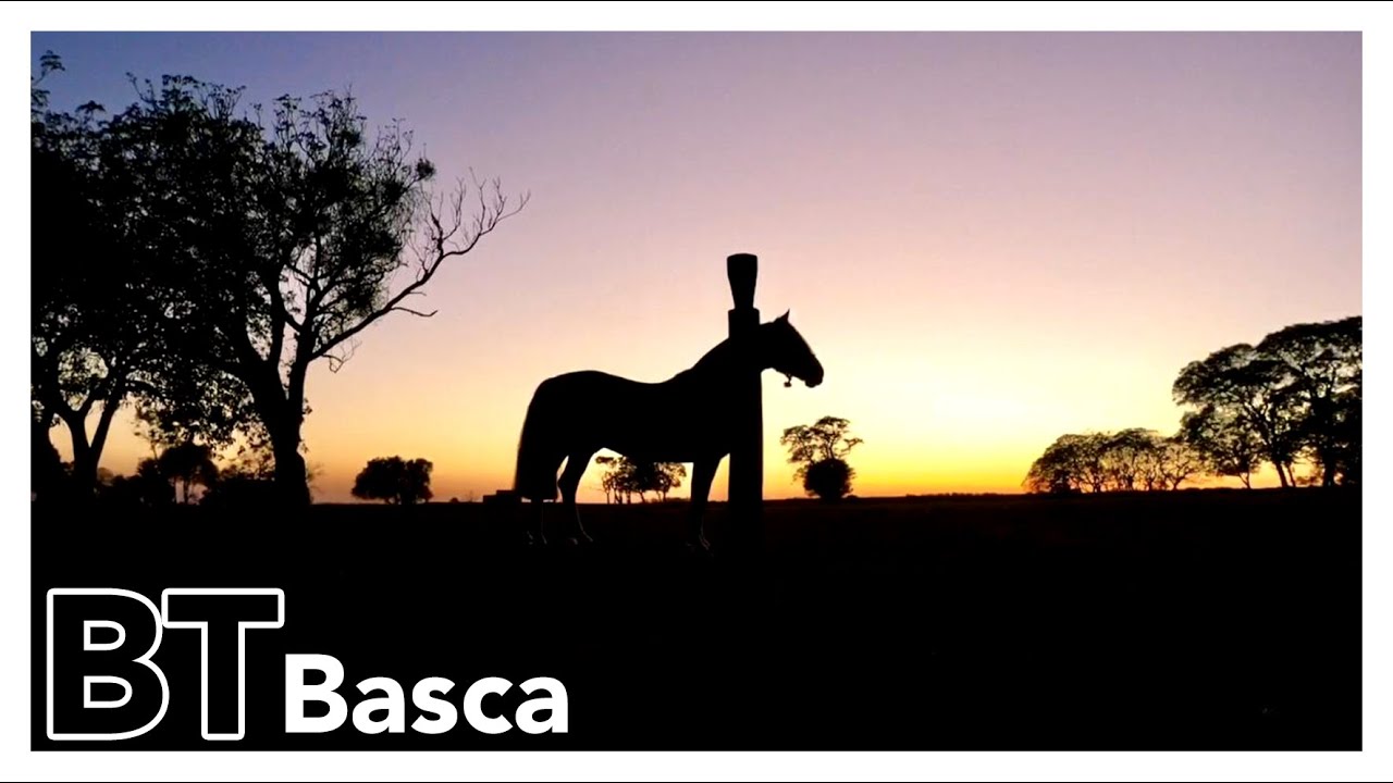 BT BASCA