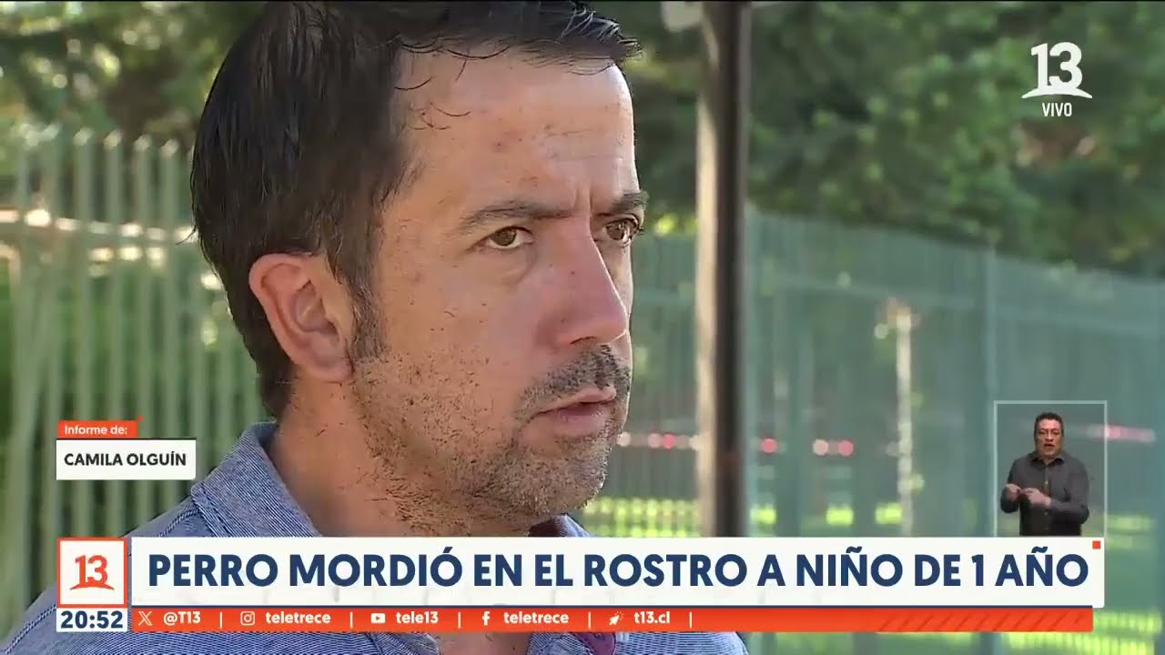 Niño fue atacado por perro a cargo de paseador