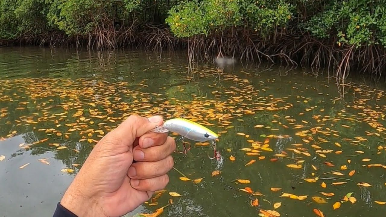 O CAMARÃO DOIDO FAZ ESTRAGO. A isca que deixa o peixe maluco.