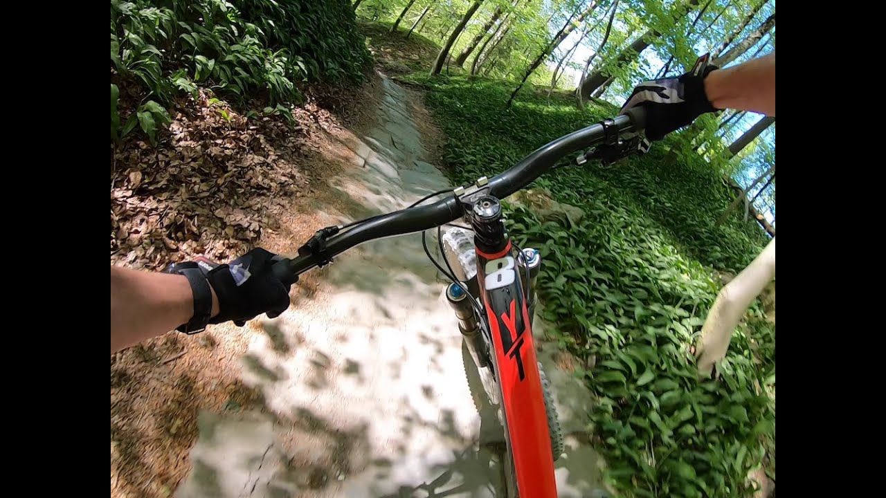 Nino - MTB Antennen Trail Üetliberg Zürich 23/4/20