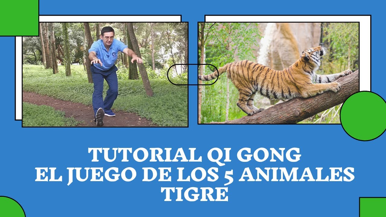 Tutorial Qi Gong - El Juego de los 5 Animales - Clase # 1 - TIGRE