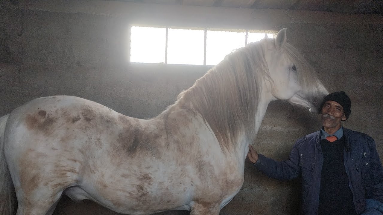 فلوغ جديد مع دريس موزون من مدينة سلا الجديدة مع لمقدم عزيز لبرمي 