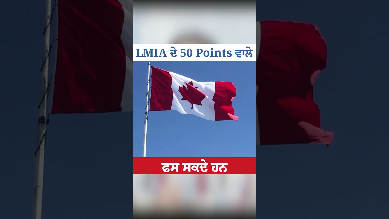 ⚠️ Beware LMIA 50-Point Claimers! Government Rechecking Files 🕵️&zwj;♂️