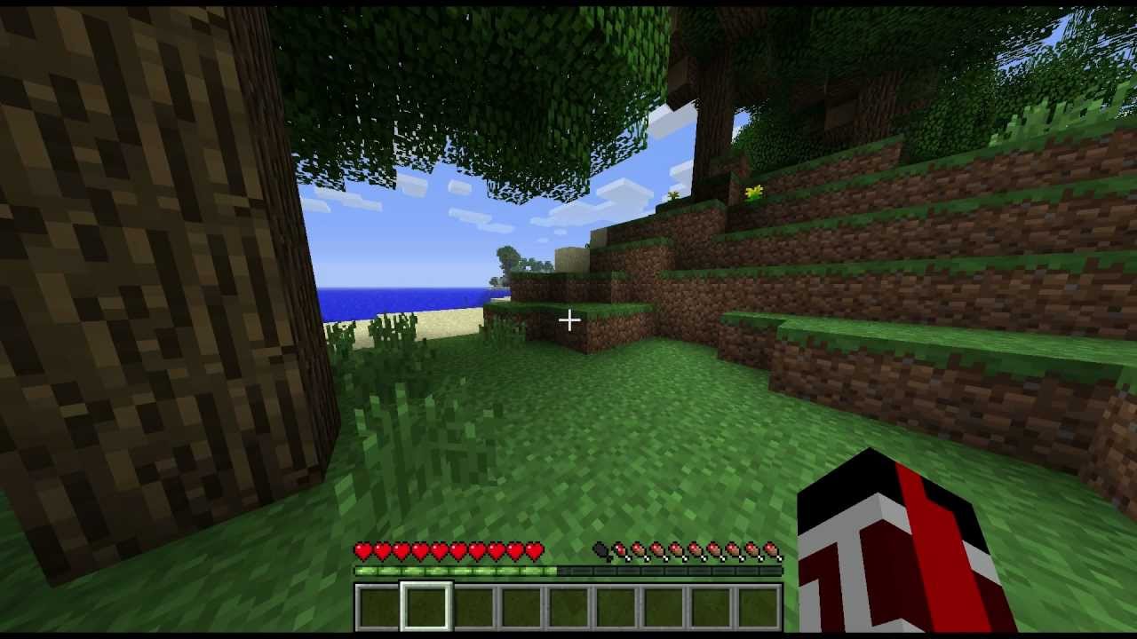 Y por esto Skyshock no juega Minecraft.