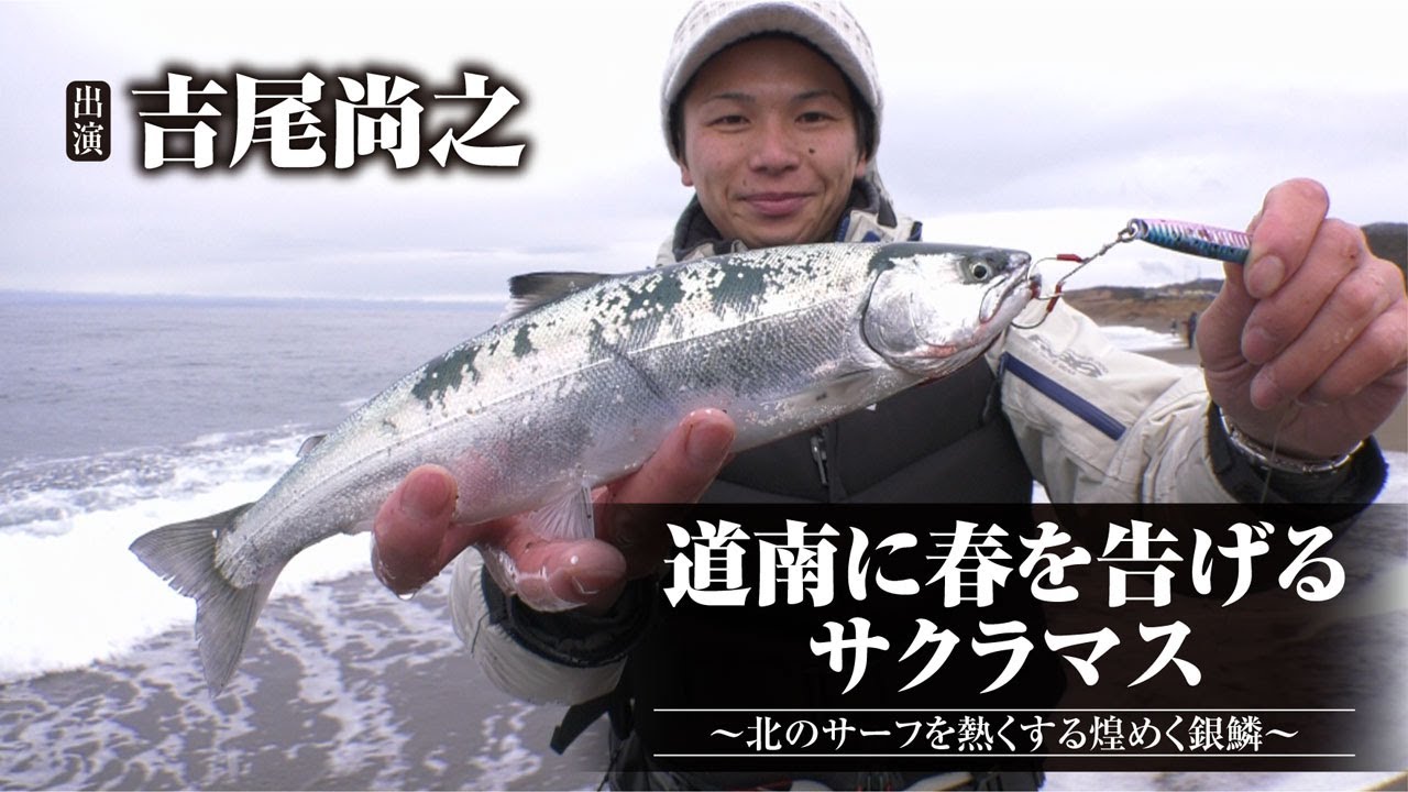 #409 道南に春を告げるサクラマス～北のサーフを熱くする煌めく銀鱗～